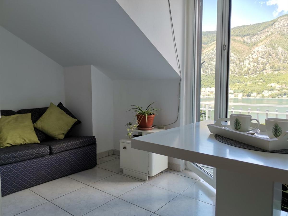 Apartments Coso Zlatne Njive Bb Kotor Buitenkant foto