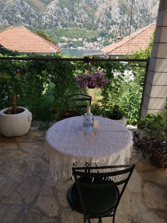 Apartments Coso Zlatne Njive Bb Kotor Buitenkant foto