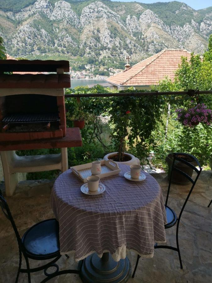 Apartments Coso Zlatne Njive Bb Kotor Buitenkant foto