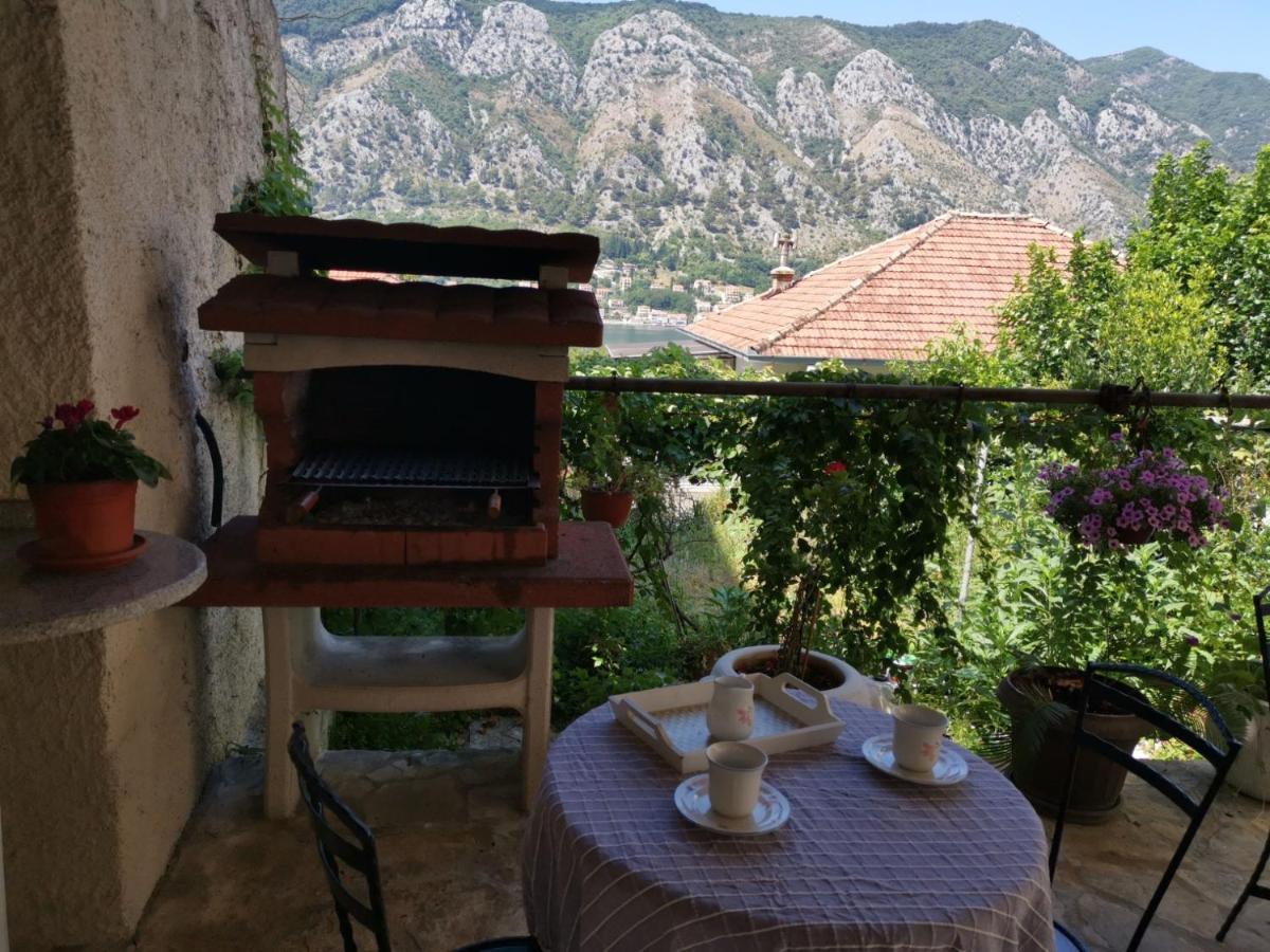 Apartments Coso Zlatne Njive Bb Kotor Buitenkant foto