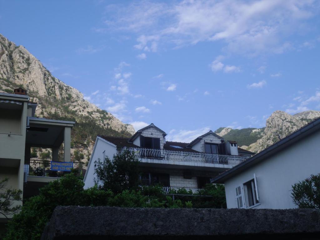 Apartments Coso Zlatne Njive Bb Kotor Kamer foto