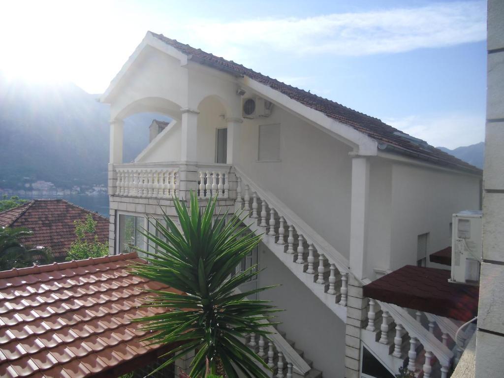 Apartments Coso Zlatne Njive Bb Kotor Buitenkant foto