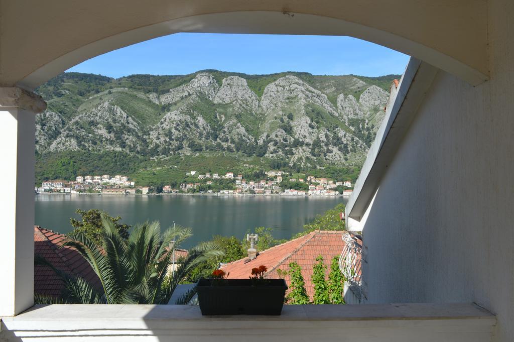 Apartments Coso Zlatne Njive Bb Kotor Buitenkant foto