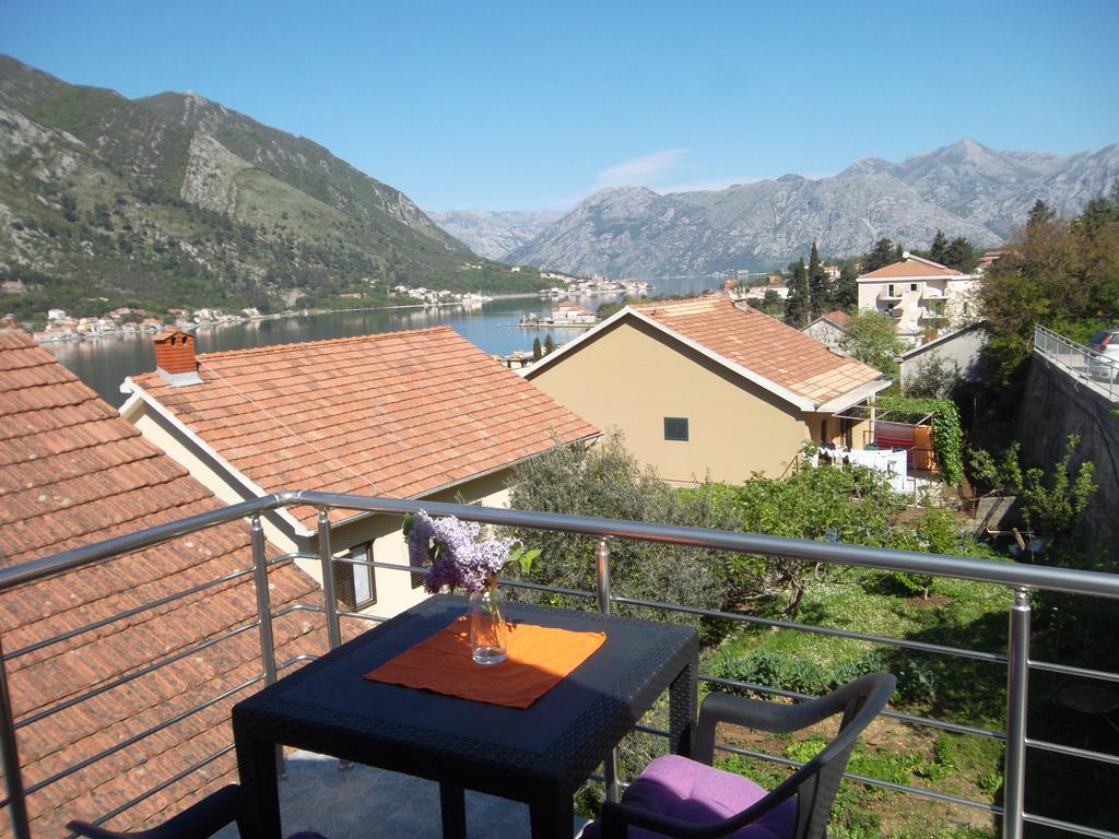 Apartments Coso Zlatne Njive Bb Kotor Buitenkant foto