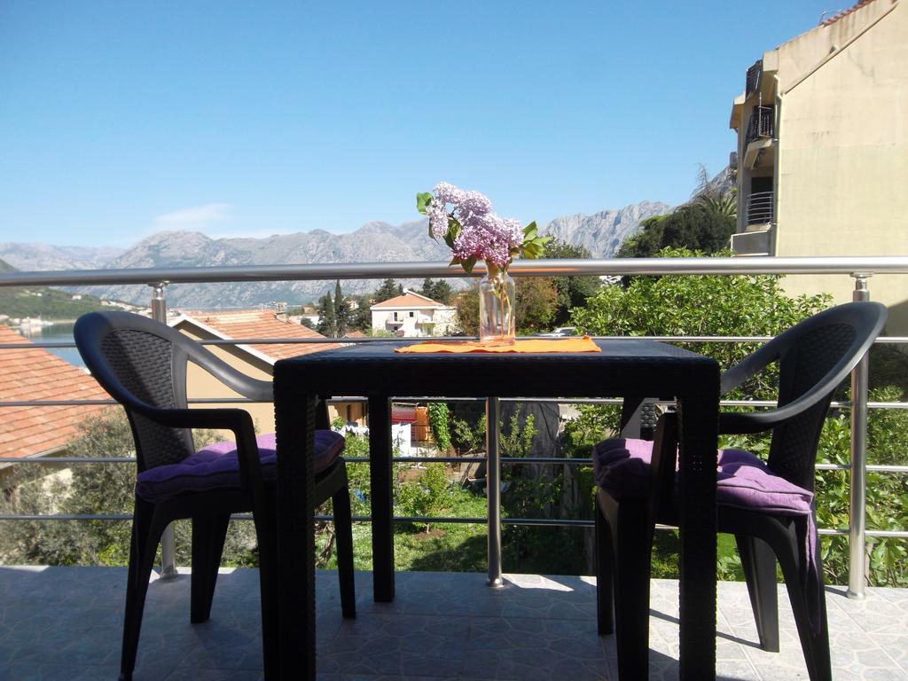 Apartments Coso Zlatne Njive Bb Kotor Buitenkant foto