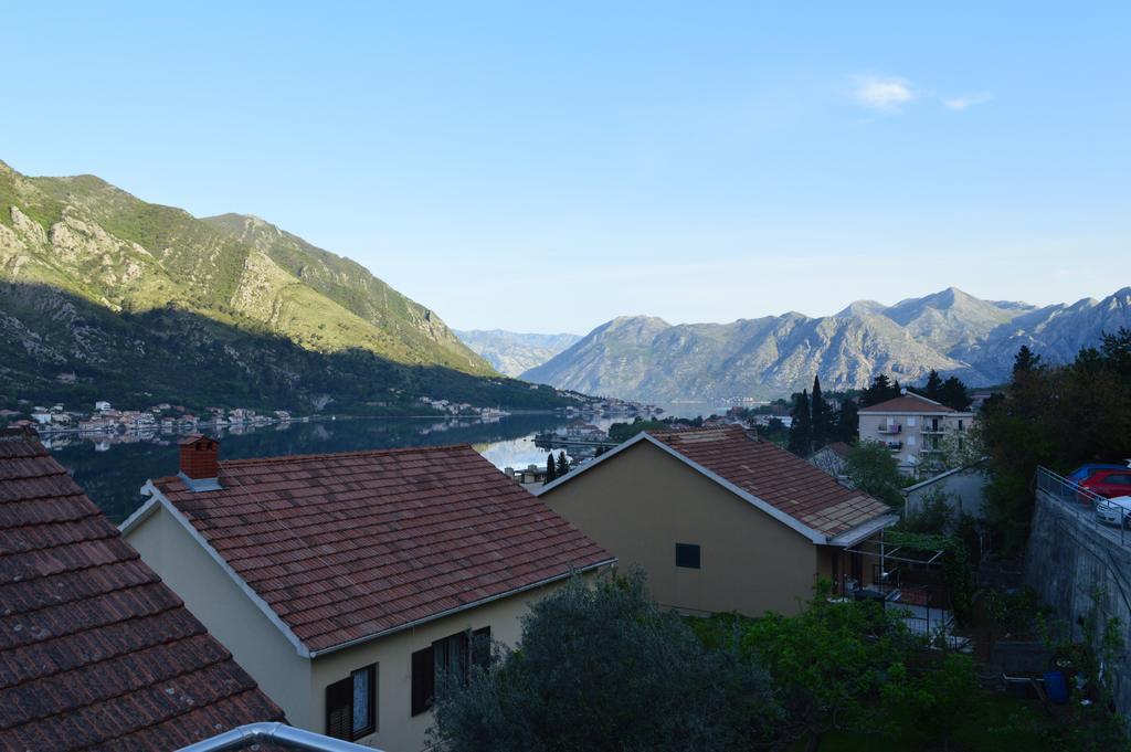 Apartments Coso Zlatne Njive Bb Kotor Buitenkant foto